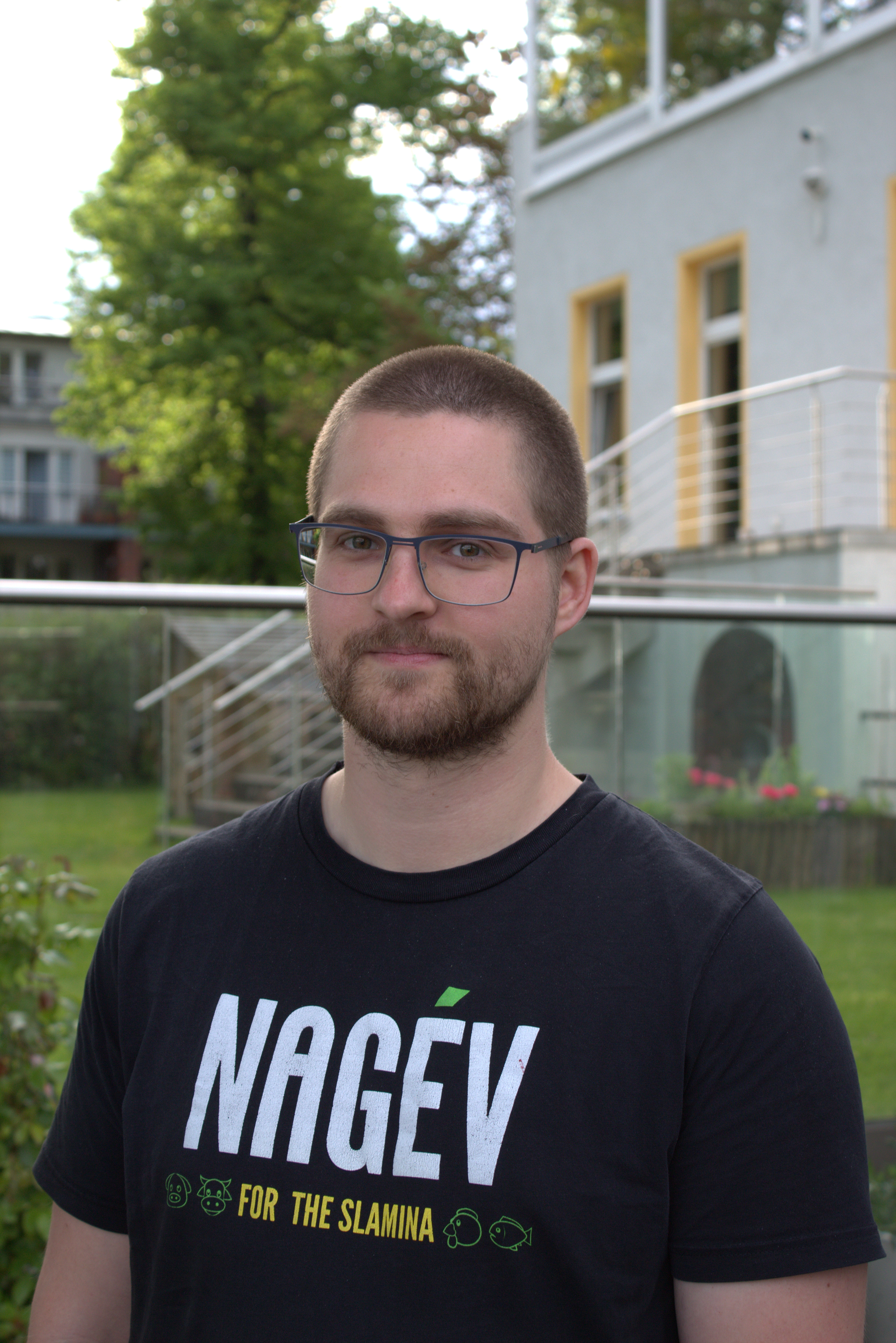 developer of the portfolio